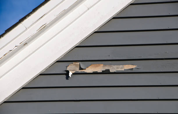 Best Historical Building Siding Restoration  in Hollandale, MS